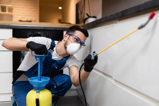 Trusted Stratford, TX Pest Control Experts