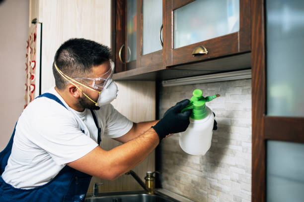 Best Affordable Pest Control Services  in Stratford, TX