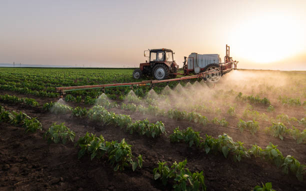 Best Pest Inspection Near Me  in Stratford, TX