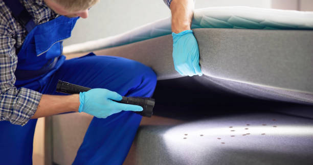 Best Wasp Removal Services  in Stratford, TX