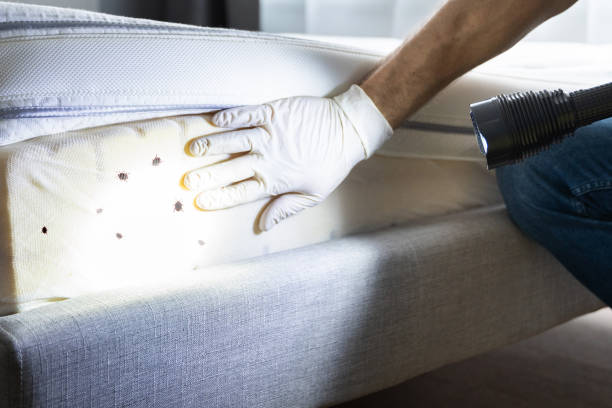 Best Pest Control Near Me  in Stratford, TX